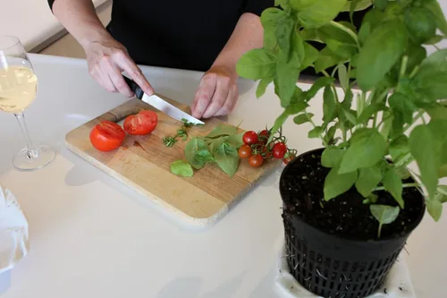 Vista 5 de Emsco Grupo Bountiful caja de cultivo, cama elevada para cosechar, maceta hidrofónica, no eléctrica