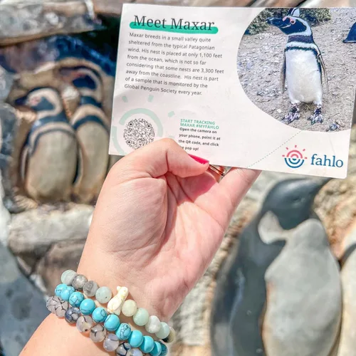 Vista 4 de Fahlo Pulsera de seguimiento de pingüinos elástica compatible con la Sociedad Global de Pingüinos talla única para hombres y mujeres Piedra Sin gemas