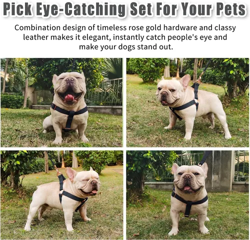 Vista 4 de Arnés de Cuero Suave Sin Tirones para Perro - Arnés Ajustable de Paso para Perro con Hebilla de Metal Resistente de Oro Rosa, Chalecos Halter