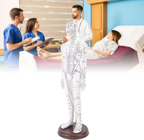 Vista 5 de Modelo de acupuntura de cuerpo humano de 20.5 in, modelo de acupuntura de punto de presión de maniquí de enseñanza de chino masculino/femenino