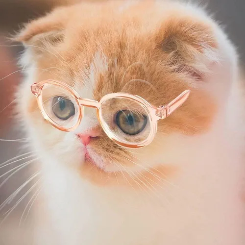 Vista 6 de Lindos lentes circulares para perros y mascotas, lentes transparentes, lentes retro, accesorios para fotos, gafas de sol transparentes para gatos