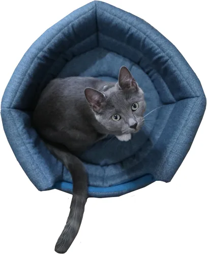 Vista 4 de Travel Cat Meowbile - Casa para gatos de interior, 25 x 18 x 17 pulgadas, cama y cueva para gatos convertible y duradera de alta calidad