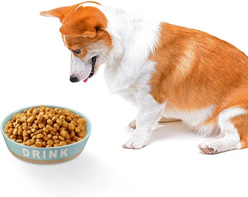 Vista 6 de Cuenco de cerámica para perros de 10 pulgadas, plato antideslizante