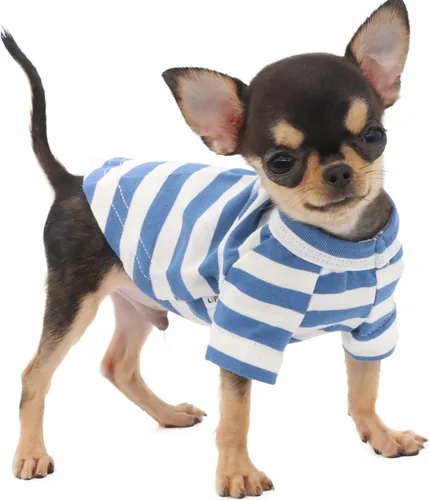Vista 9 de LOPHIPETS Camiseta de perro 100% algodón para perros pequeños Taza de té Chihuahua Yorkie Ropa para cachorros - Azul/XXS