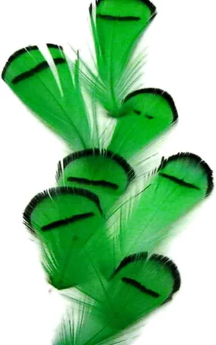 Vista 3 de Green Lady Amherst - Plumas artesanales de faisán, 1 docena