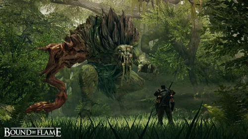 Vista 2 de Bound by Flame - PlayStation 3