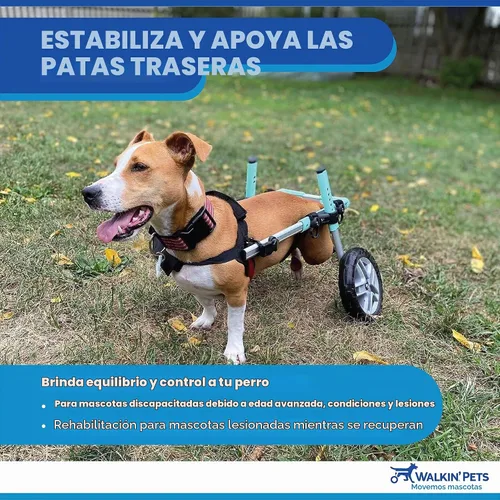 Vista 5 de Walkin' Wheels Silla de ruedas Dachshund - para perros pequeños de 2 a 30 libras - Aprobado por veterinarios - Silla de ruedas para perros para Azul