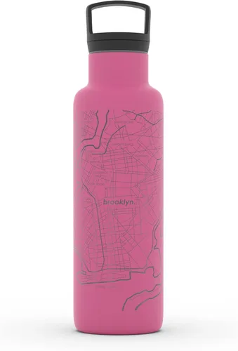 Vista 120 de Well Told Botella de agua aislada con mapa de Washington DC grabado, botella de acero inoxidable grabada (21 onzas, blanco) botella aislada de mapa