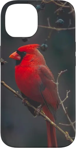 Vista 4 de Funda para iPhone 16 Cardinal Bird