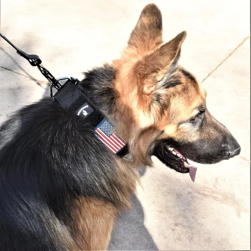 Vista 6 de Collar táctico para perros de 2 pulgadas de ancho con hebilla de metal de NEGRO-COBD2
