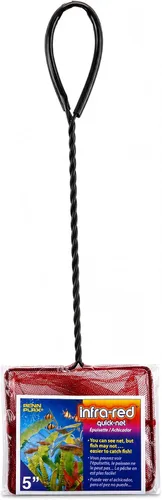 Vista 21 de Penn-Plax Quick-Net Aquarium Fish Net - Fine Mesh, Vinyl-Covered Braided Handle - Small Aquarium Cleaning Tool for Gentle Fish Handling - Use in