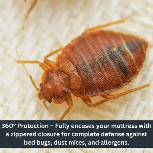 Vista 3 de Protector de colchón impermeable con cremallera – Carcasa de 6 lados, a prueba de chinches y ácaros del polvo, cubierta de 12 pulgadas