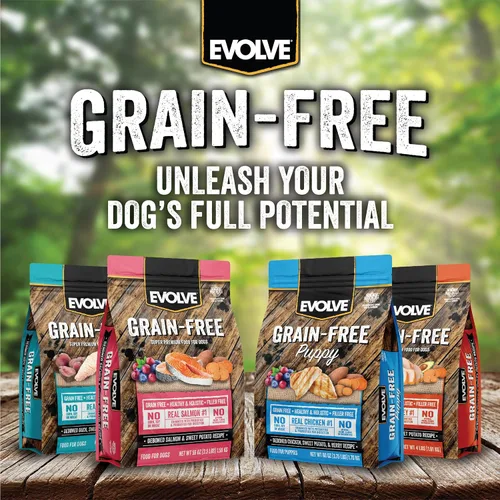 Vista 6 de Evolve Alimento seco para perros con receta de pollo deshuesado sin granos, batata y bayas, 4 libras.