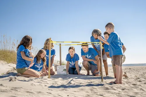 Vista 2 de Hallmark Hall of Fame The Beach House