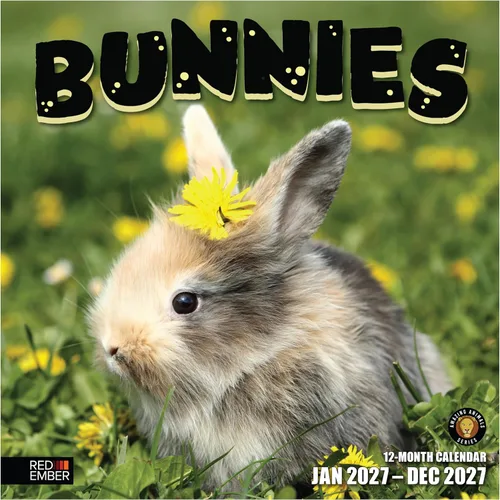 Vista 38 de RED EMBER Calendario de pared Doggy Disasters 2027 de 12 meses 01 - Perros traviesos