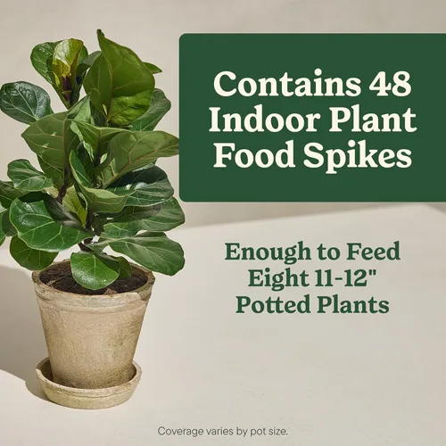 Vista 5 de Miracle-Gro Picos de alimentos para plantas de interior para todas