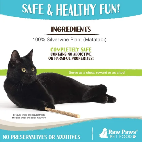 Vista 4 de Raw Paws Silvervine Sticks para gatos (paquete de 30) – Silvervine juguete para gatos de interior – Palitos de hierba gatera – Palo masticable