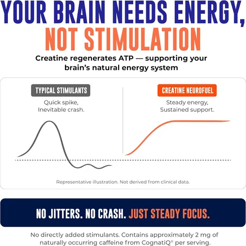 Vista 3 de Creatine Monohydrate Powder 10g with Alpha GPC & L-Tyrosine, 30 Servings