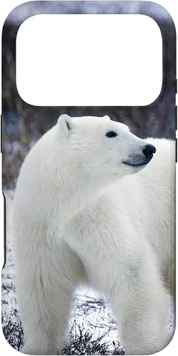 Vista 30 de Polar Bears Animal Nature Case for iPhone 17