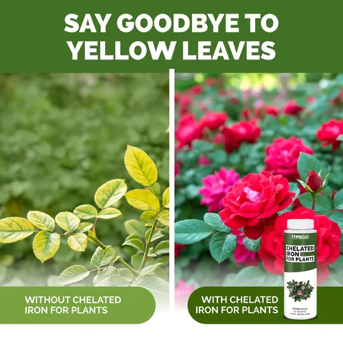 Vista 3 de Hierro quelado para plantas - Suplemento de hierro líquido para hojas