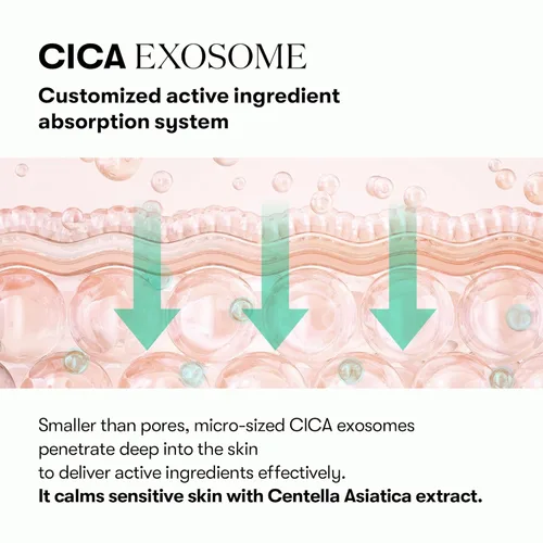 Vista 4 de VT COSMETICS PDRN Cica Exosome Ampoule, Suero Reafirmante con Péptido y Ceramida para Anti-Envejecimiento, Cuidado de Arrugas, Voluminizador