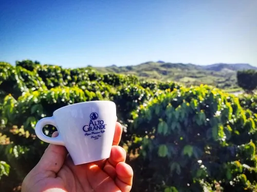 Vista 8 de Alto Grande Caracolillo Cápsulas de café, 100% arábica de Puerto Rico, 18 unidades, intensidad 8, cápsulas de espresso de una sola porción