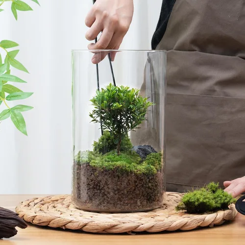 Vista 6 de Terrario de Vidrio de Escritorio con Luz de Crecimiento (Altura: 9.8" Diámetro: 5.9"), para Suculentas, Musgo, Jardinería en Miniatura, Acuario