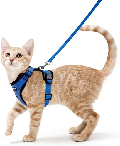 Vista 17 de rabbitgoo Cat Harness and Leash Set, Escape Proof Vest, XXS, Berry Pounce Soft Breathable Mesh, No-choke Adjustable Fit, Snap Buckles, Sturdy