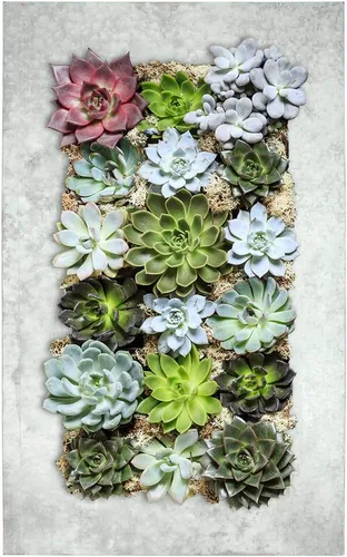 Vista 16 de Modern Home Living - Maceta para suculentas de acero galvanizado y zinc, maceta de pared con bolsillo para jardín (4 bolsillos, zinc envejecido)
