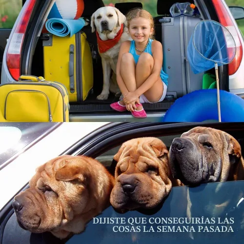 Vista 6 de YuCool Cinturón de seguridad para perro, juego de 4 piezas de cinturones de seguridad ajustables para vehículos de nailon para mascotas, arnés