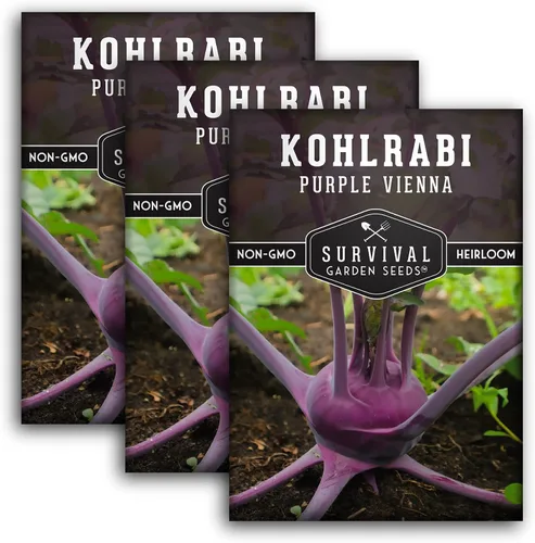 Vista 10 de Survival Garden Seeds - Semilla de colinabo púrpura de Viena para plantar - Paquete con instrucciones para plantar y cultivar verduras crucíferas