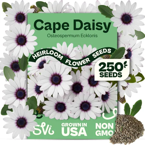 Vista 15 de Queen Anne 's Lace- 200 semillas – 50% de descuento venta