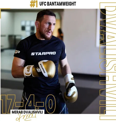 Vista 3 de Starpro Guantes de boxeo con soporte y protección inigualables para la muñeca, entrenamiento, muay thai, hombres y mujeres, varios colores y tamaños