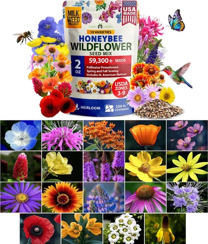 Vista 19 de HOME GROWN - 49 000 semillas de flores silvestres, mezcla a granel, 2 onzas, 21 variedades de mezcla de flores silvestres, para atraer abejas
