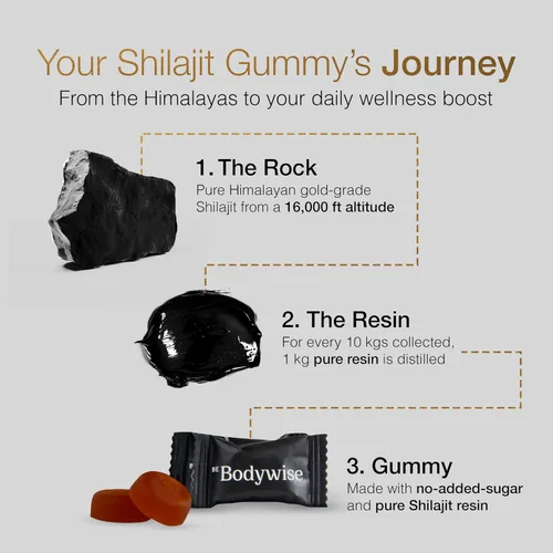 Vista 9 de Be Bodywise Gomitas Puras de Shilajit del Himalaya en Oro Sin Azúcar Añadido Ashwagandha, Gokshura Ácido Fúlvico y 85+ Minerales Traza