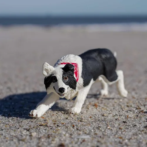 Vista 2 de Safari Ltd. Figura de Border Collie – Figura detallada de plástico de 5 pulgadas – Divertido juguete educativo para niños, niñas y niños a partir