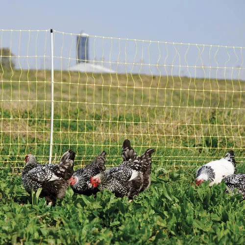 Vista 4 de Premier 1 Red eléctrica portátil para pollo con postes incorporados, 48 pulgadas de alto x 82 pies de largo, valla amarilla para aves de corral