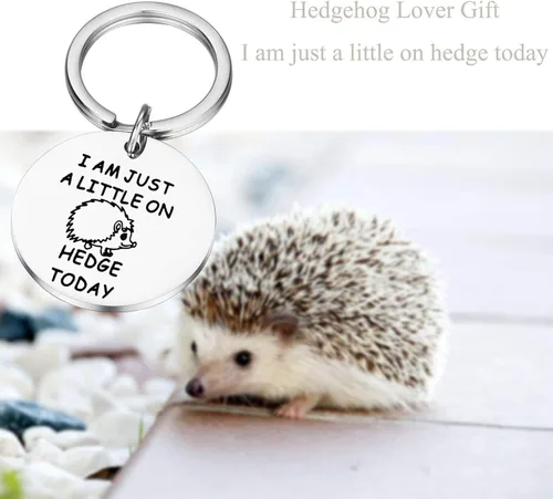Vista 5 de Lywjyb Birdgot erizo regalo regalo amante del erizo regalo regalo animal amante