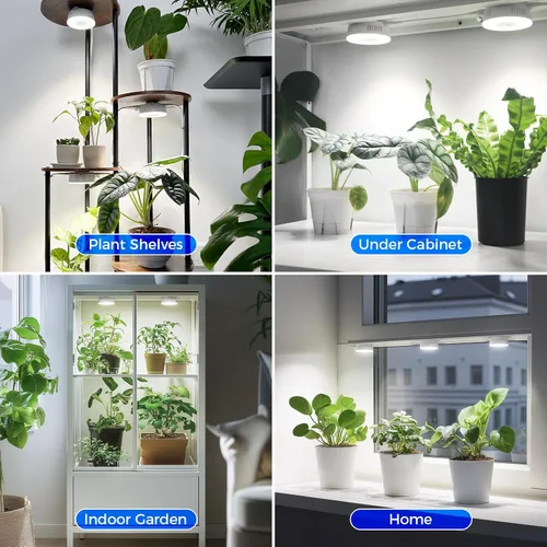 Vista 7 de Barrina Orbgrow OG09 Puck - Luz LED de crecimiento, 5000K 9W (equivalente a 135 vatios), luces de plantas para plantas de interior de espectro