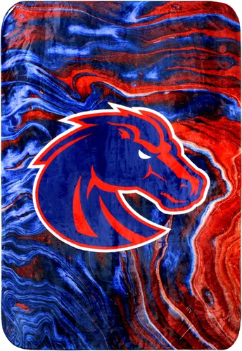 Vista 36 de College Covers Everything Comfy Arkansas Razorbacks Color Swept Manta Suave de Tiro, 30" x 40