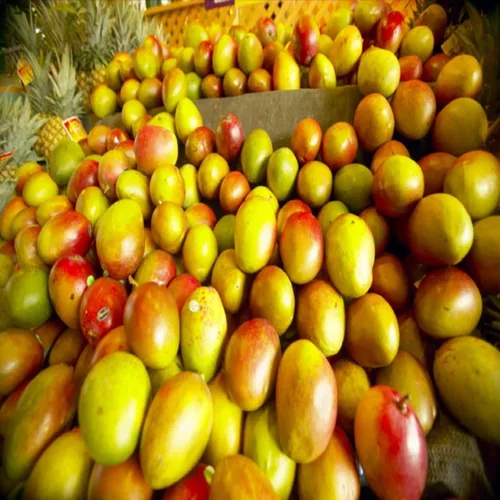 Vista 2 de Mango Paradise Aceite de fragancia (nuestra versión de la marca) (botella de 8 onzas) para hacer velas, hacer jabón, fabricación de tartas