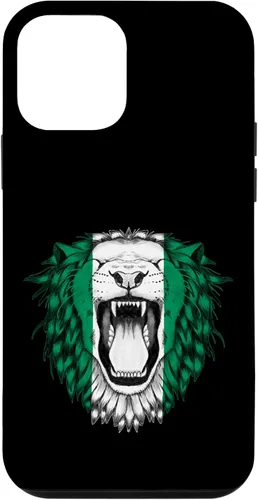 Vista 16 de Nigeria Case for iPhone 17