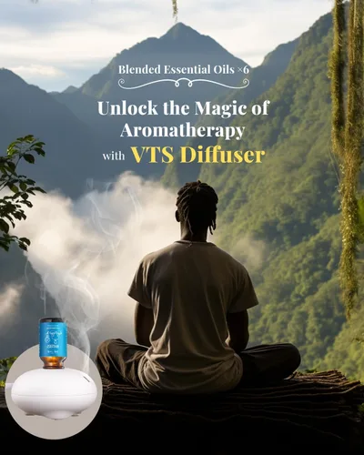 Vista 6 de VTS - Juego de difusor sin agua con aroma de hotel, las 6 mejores mezclas de aceites de aromaterapia para difusores, ambientador de fragancia