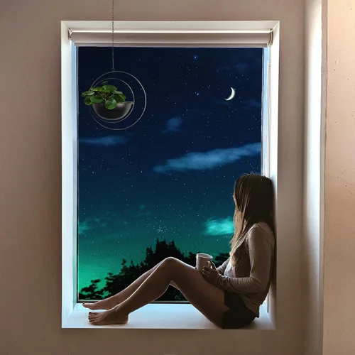Vista 2 de Hajia 1 paquete de soporte colgante en forma de luna con maceta desmontable de 8 pulgadas, colgador de metal negro para interiores y exteriores
