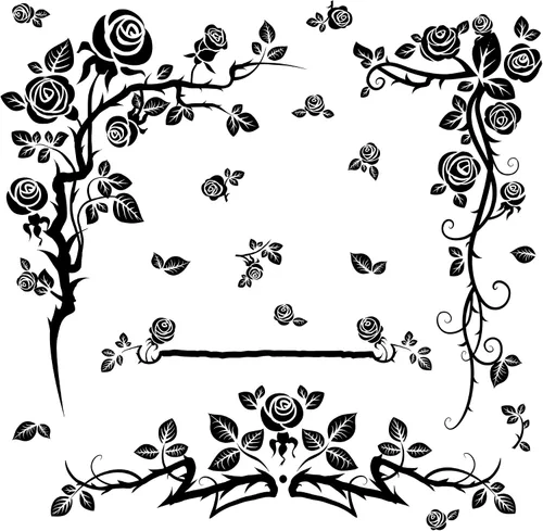 Vista 9 de Amaonm?. Flores., Negro