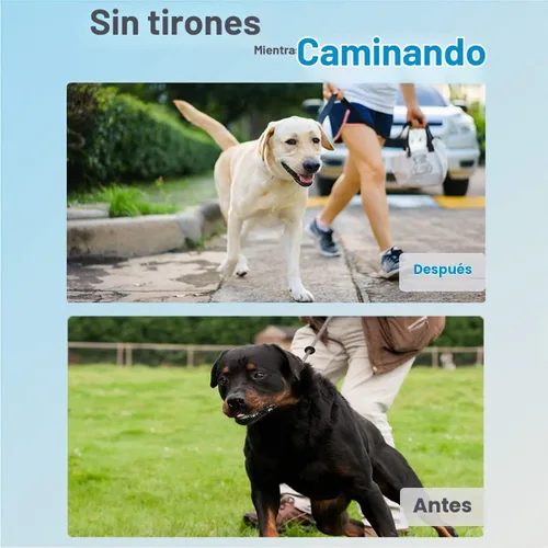 Vista 2 de Collar de perro sin tirones, tamaño ajustable con hebilla de liberación rápida para perros pequeños, medianos y grandes