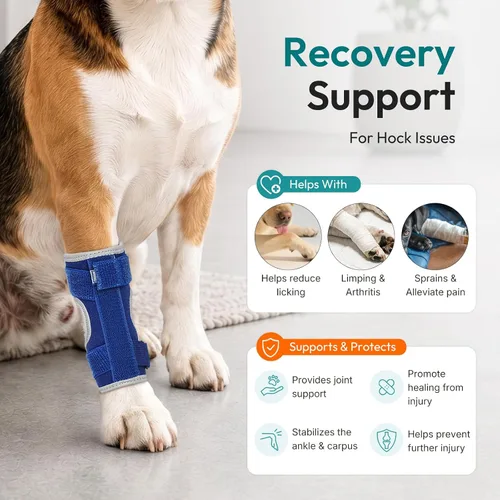 Vista 5 de Dog Leg Brace for Hock Joint, Dog Splint Ankle for Arthritis, Sprains S Azul