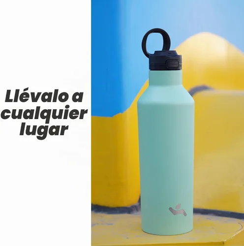 Vista 6 de Botella de agua aislada con pajilla, 25 onzas de doble pared de acero inoxidable al vacío con 2 tapas, cielo