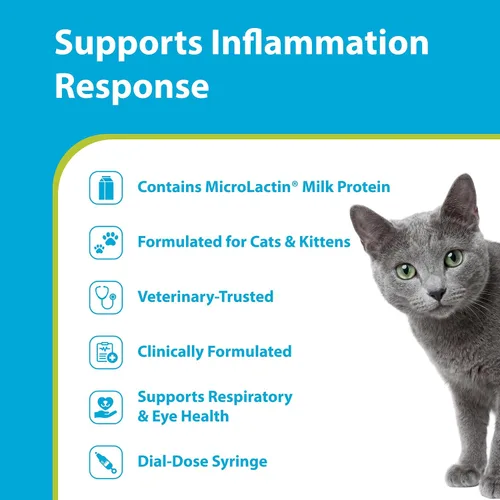 Vista 2 de PRN Pharmacal Duralactin Feline L-Lysine Pasta para gatos y gatitos – Apoya la salud de las articulaciones felinas, respiratoria y ocular – Pasta