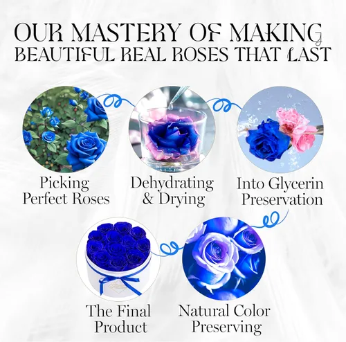 Vista 7 de GLAMOUR BOUTIQUE Flowers Forever - Caja de regalo, 12 rosas preservadas reales en caja blanca de terciopelo, regalo floral para esposa, mamá o ella